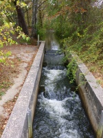 Herring Run IMG 4194